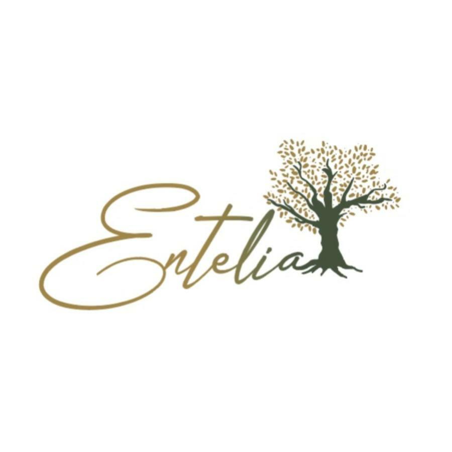 فندق Entelia مدينة سكياثوس المظهر الخارجي الصورة